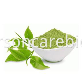 Green Tea Extract